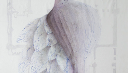 Fino al 30.V.2015 | Giulia Dall’Olio, Visioni del Settimo Giorno | Vibra – Spazio Contemporaneo di Idee, Ravenna